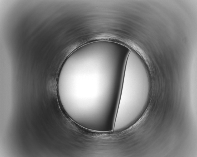 X0000096681329200802051022