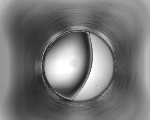 X0000096681330200802051022