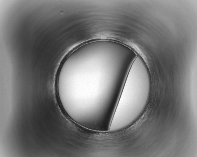 X0000096681331200802051022