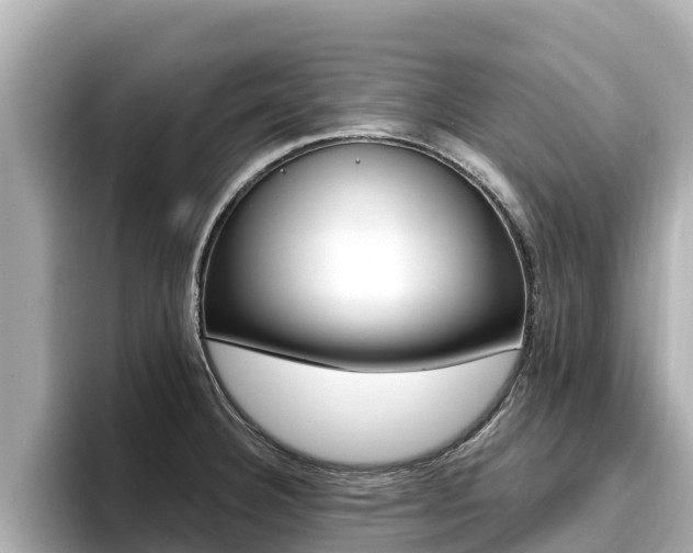 X0000096681332200802051022