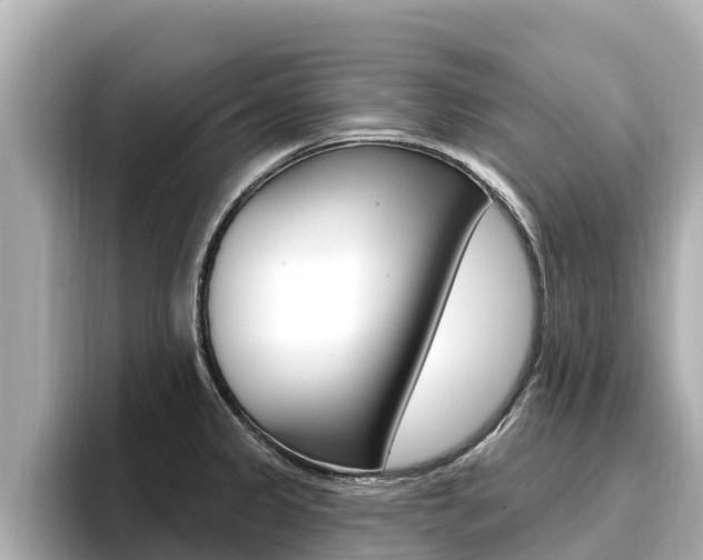 X0000096681333200802051022