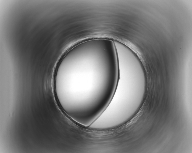 X0000096681334200802051022