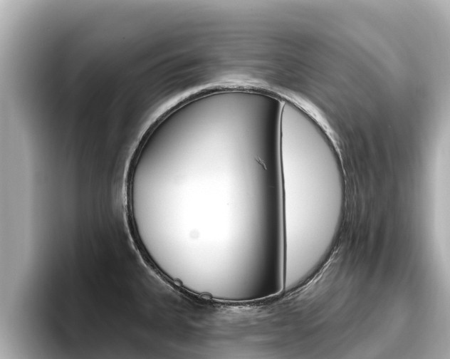 X0000096681335200802051022