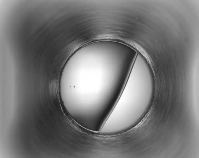 X0000096681337200802051022