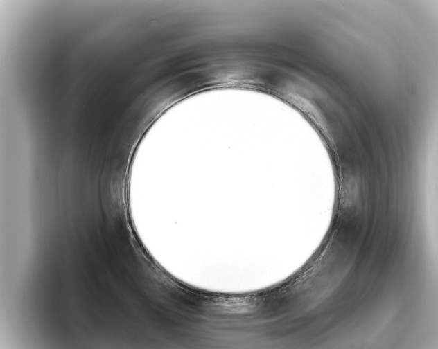 X0000096681338200802051022