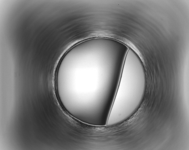 X0000096681339200802051022