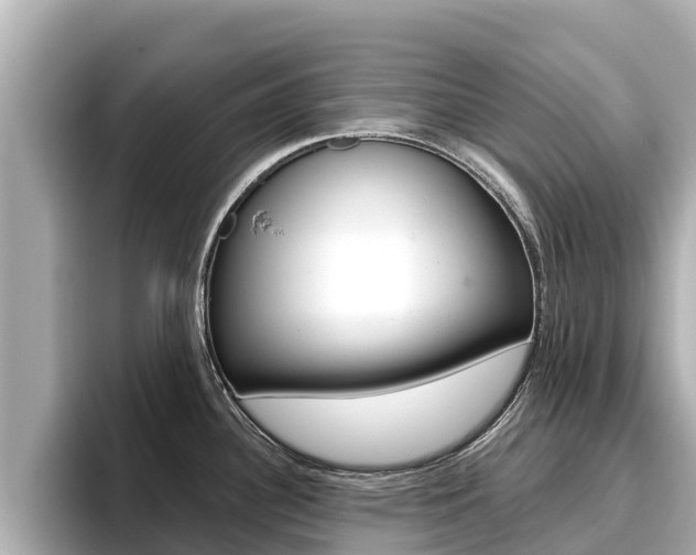 X0000096681340200802051022