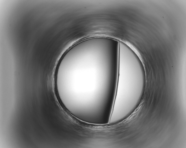 X0000096681341200802051022