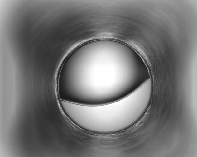X0000096681342200802051022