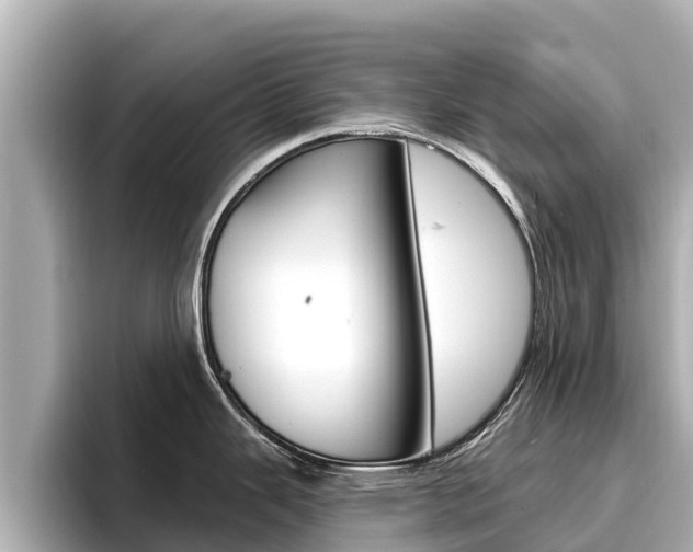 X0000096681343200802051022