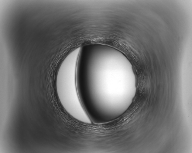 X0000096681345200802051022