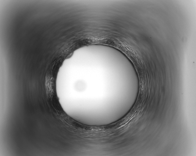 X0000096681346200802051021
