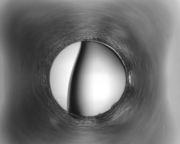 X0000096681347200802051021