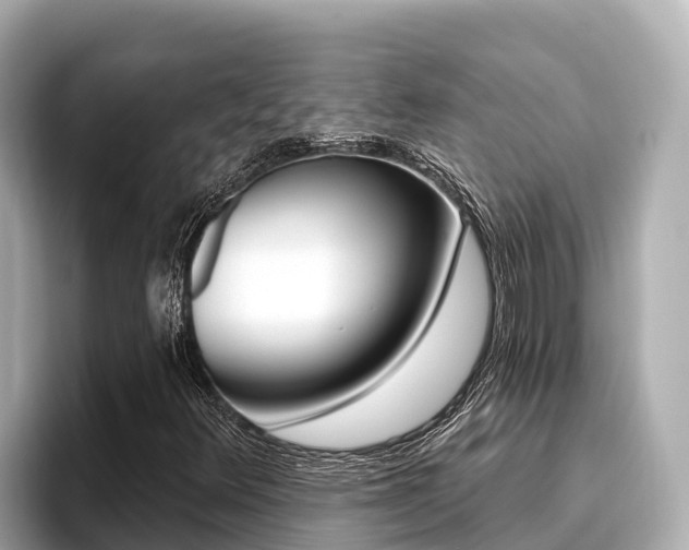 X0000096681348200802051021