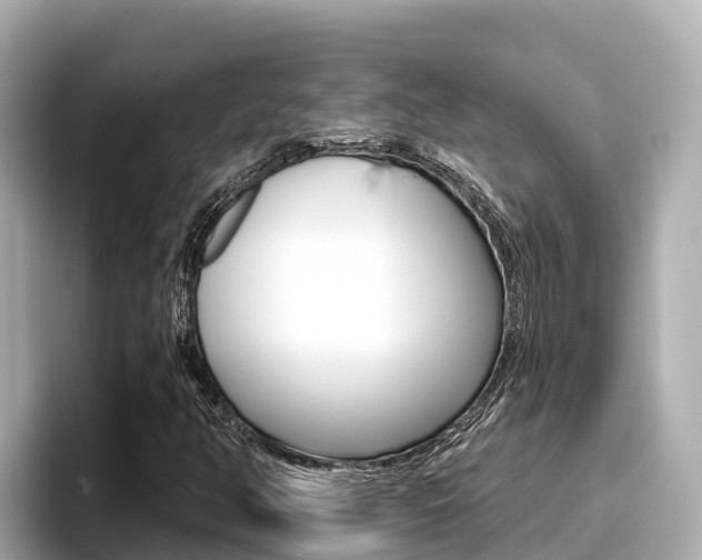 X0000096681350200802051021