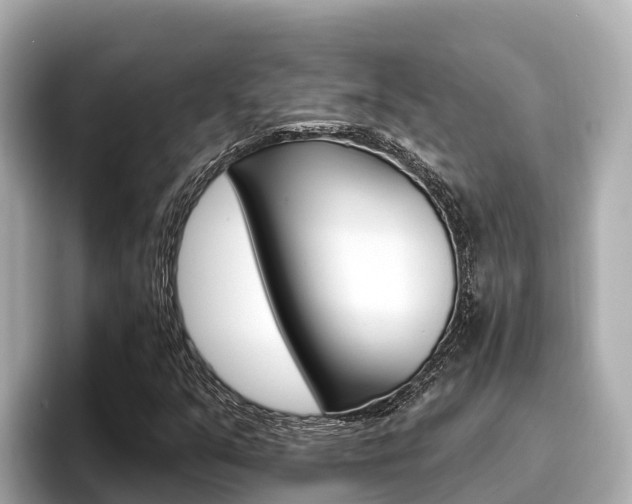 X0000096681351200802051021