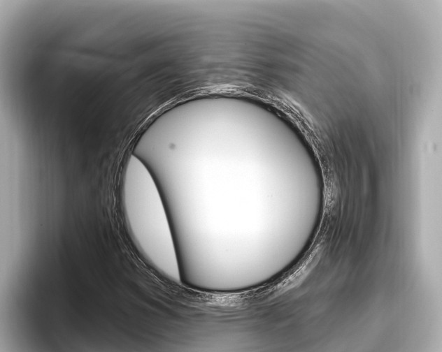 X0000096681353200802051021