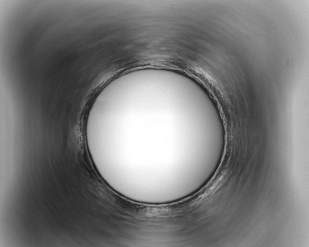 X0000096681354200802051021