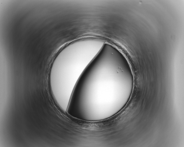 X0000096681355200802051021