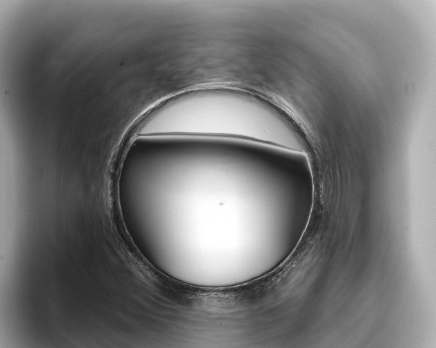 X0000096681356200802051021