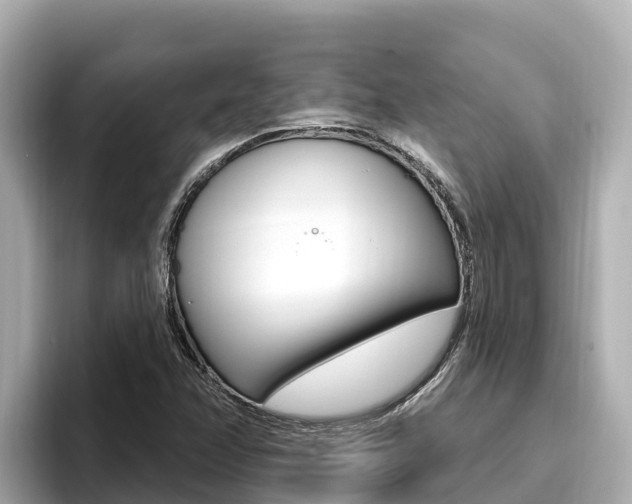 X0000096681358200802051021
