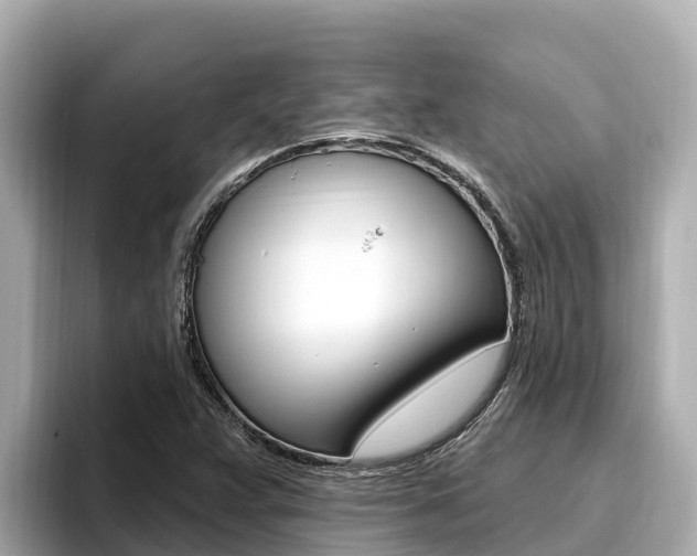 X0000096681359200802051021
