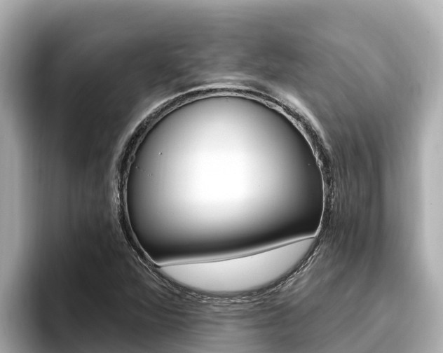 X0000096681360200802051021