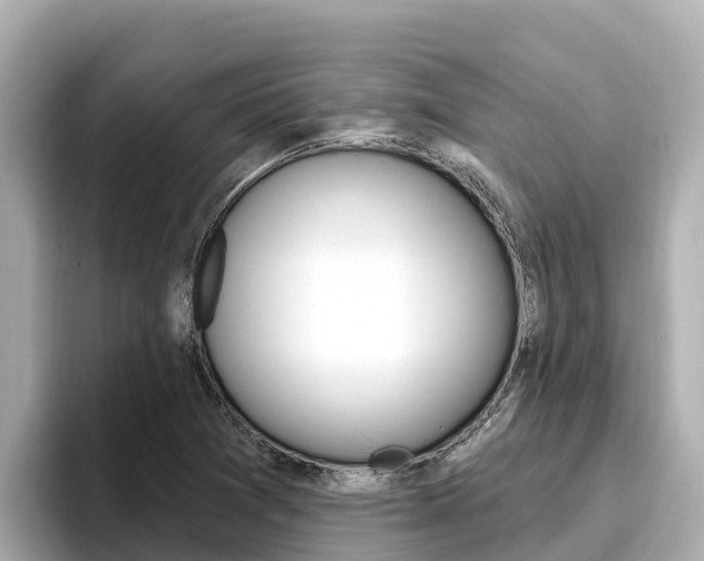 X0000096681361200802051021