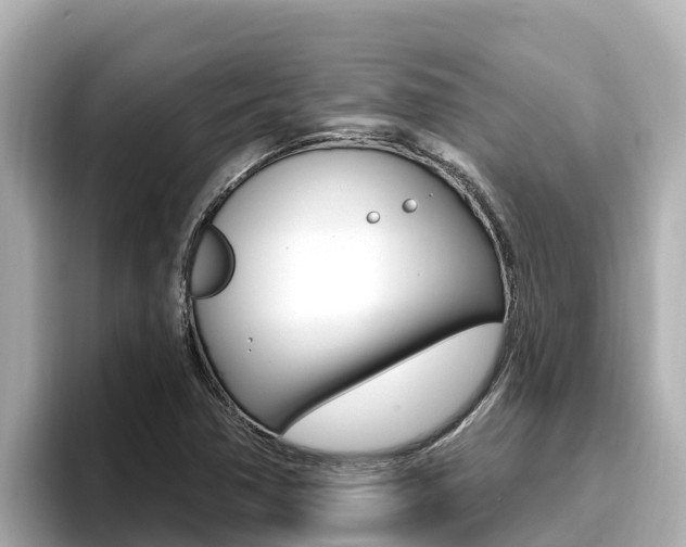 X0000096681362200802051021