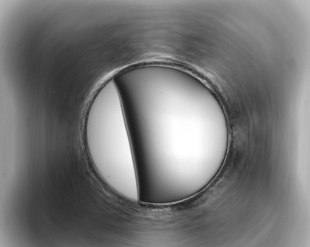 X0000096681363200802051021