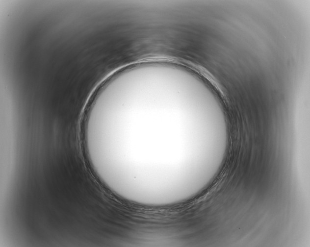 X0000096681364200802051021