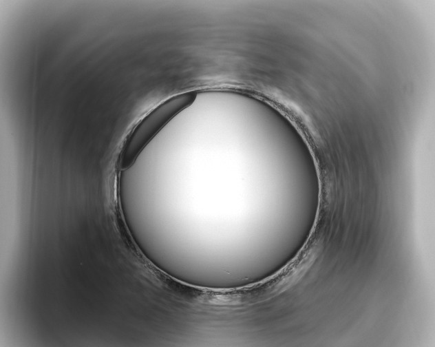 X0000096681365200802051021