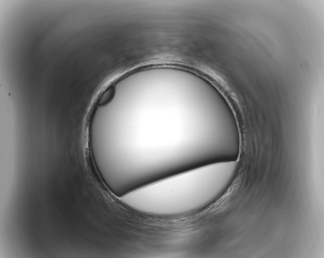 X0000096681366200802051021
