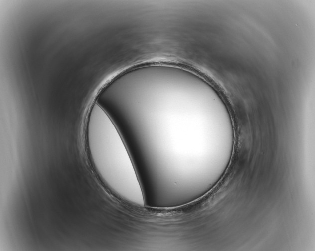 X0000096681367200802051021