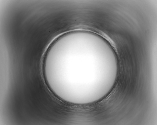 X0000096681368200802051021