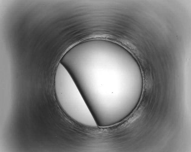 X0000096681369200802051021