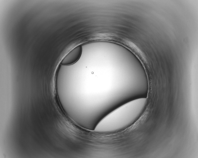 X0000096681370200802051021