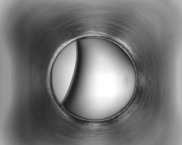 X0000096681371200802051021