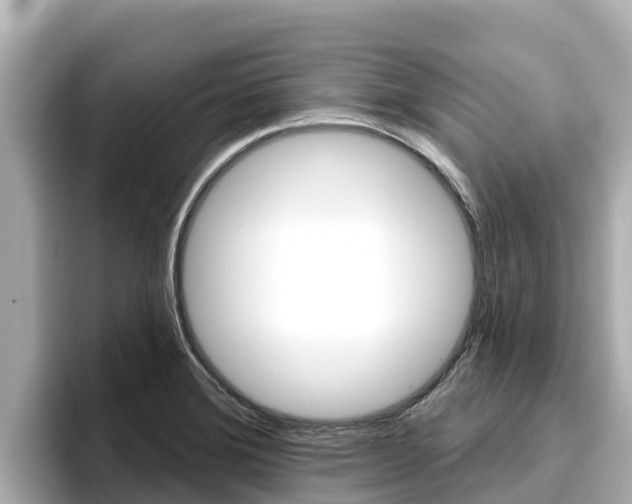 X0000096681372200802051021