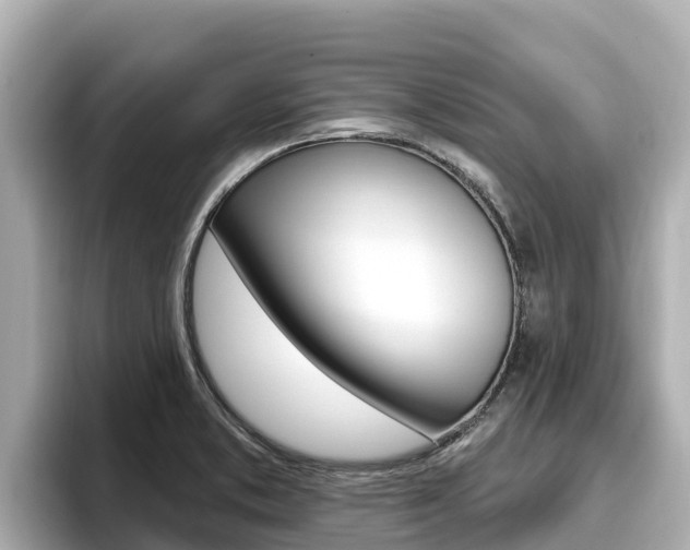 X0000096681373200802051021