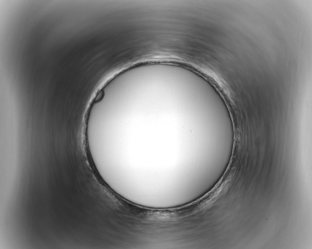 X0000096681374200802051021