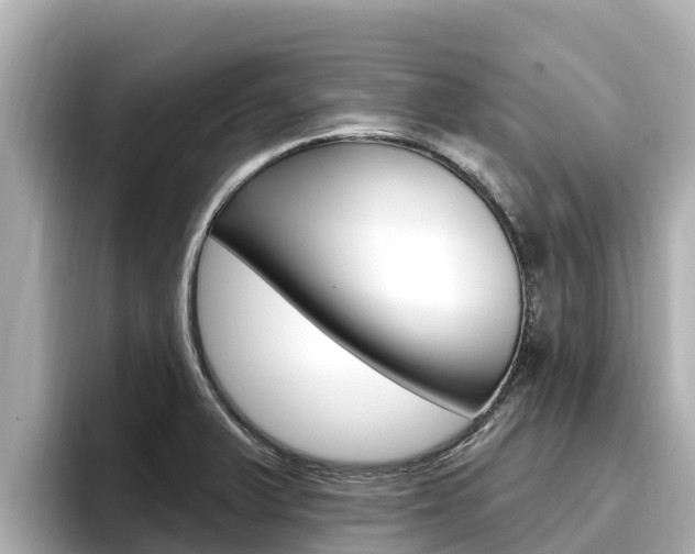X0000096681375200802051021