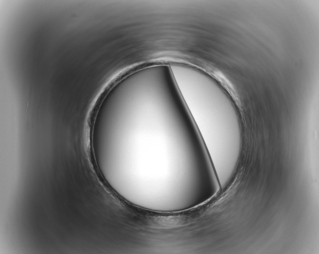 X0000096681376200802051021
