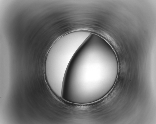 X0000096681377200802051021