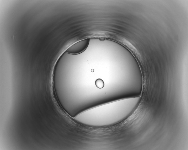 X0000096681378200802051021
