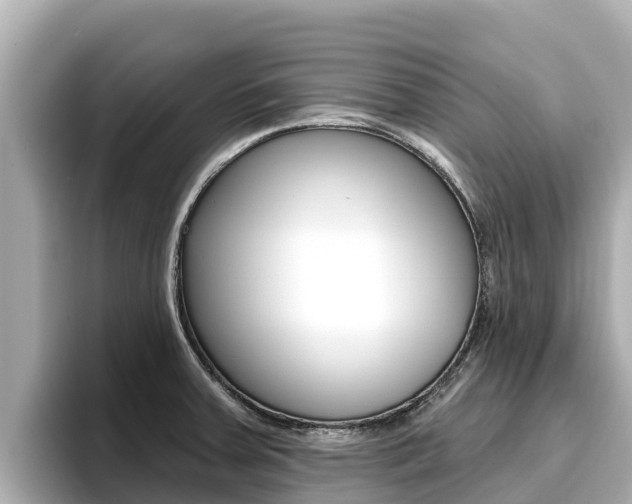 X0000096681379200802051021
