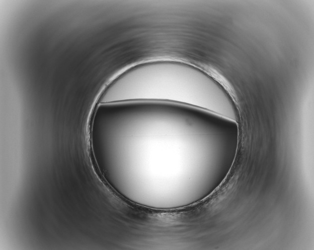 X0000096681380200802051021
