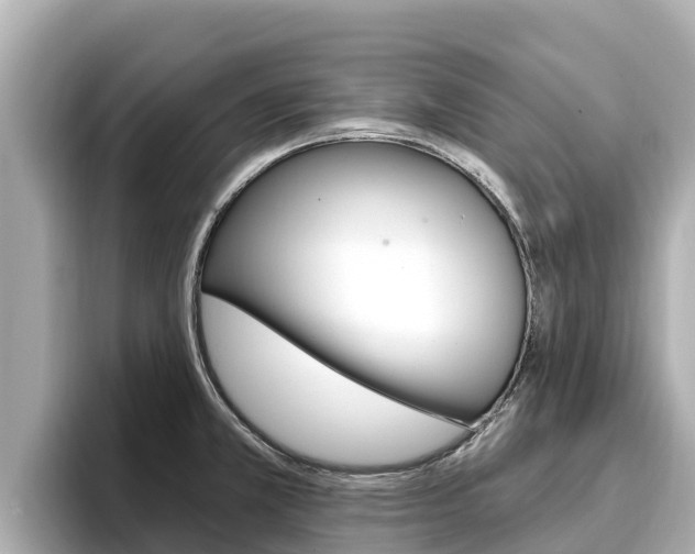 X0000096681381200802051021