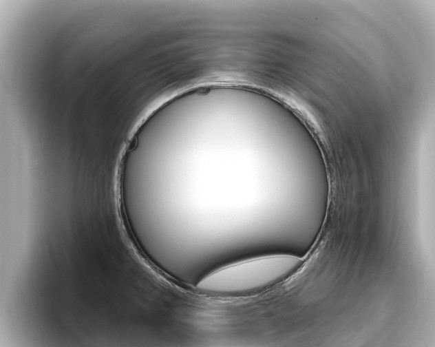 X0000096681382200802051021