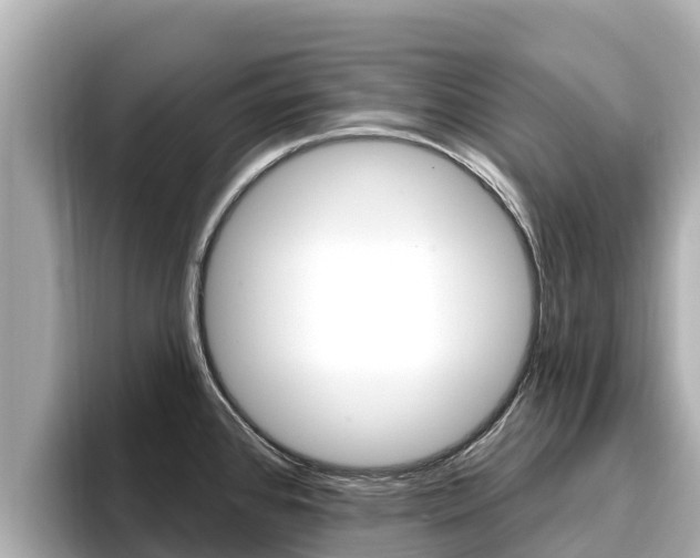 X0000096681384200802051021